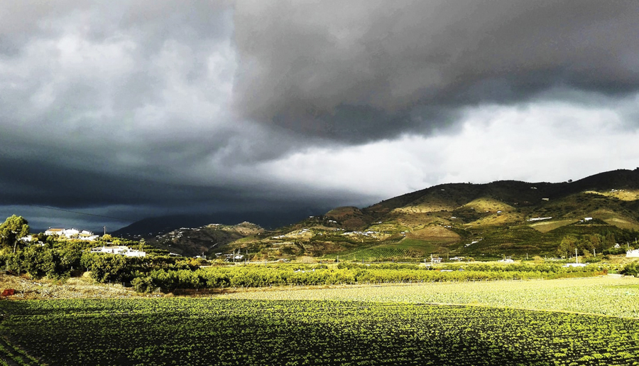 SIEMPRE POSITIVO SIEMPRE POSIBLE