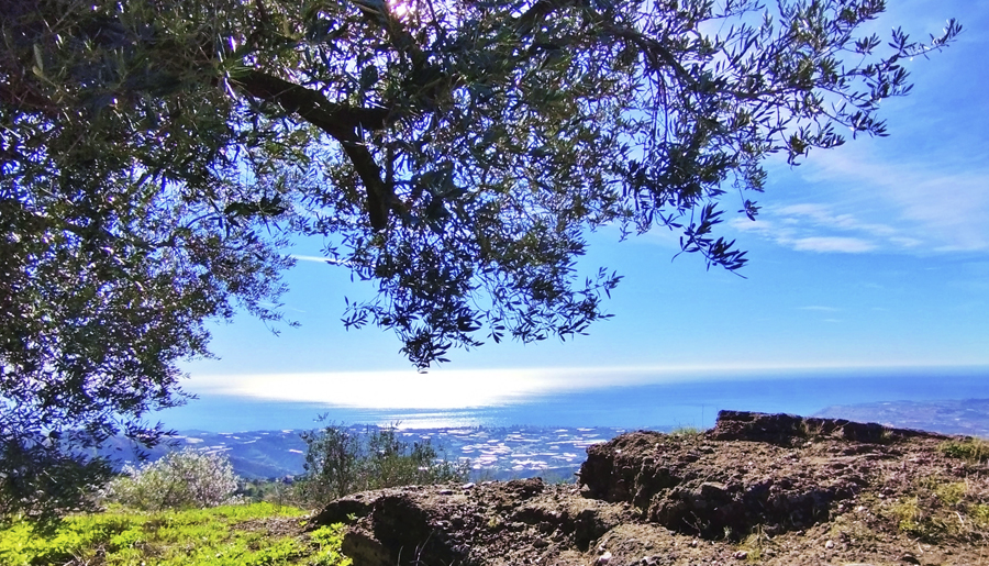 SIEMPRE POSITIVO SIEMPRE POSIBLE