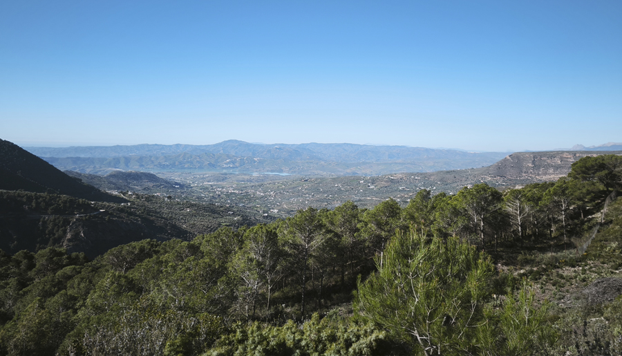 SIEMPRE POSITIVO SIEMPRE POSIBLE